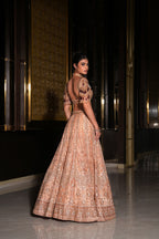 Rani Lehenga Set