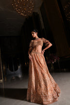 Rani Lehenga Set